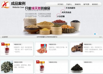 商务型成品案例站No:8409