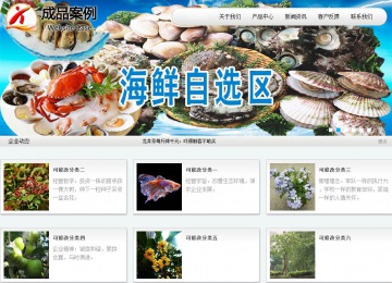 商务型成品案例站No:8409