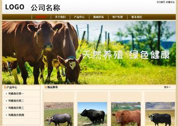 经济型成品案例No:8422