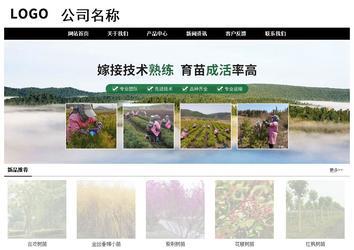 经济型成品案例No:8434