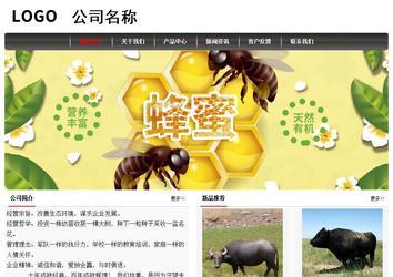 经济型成品案例No:8498