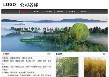 经济型成品案例No:8498