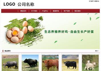 经济型成品案例站No:8501