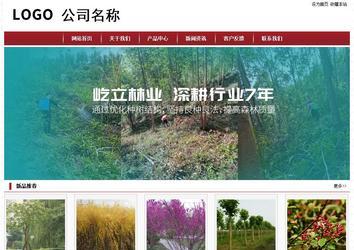 经济型成品案例站No:8501