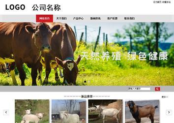 商务型成品案例No:8507