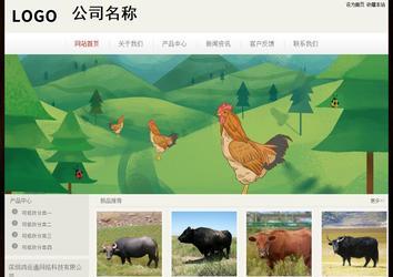 经济型成品案例No:8520