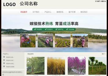 经济型成品案例No:8520