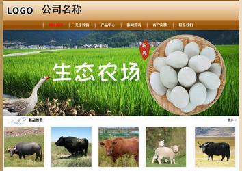 经济型成品案例No:8521