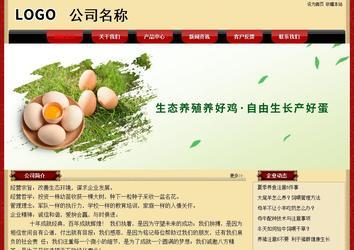 经济型成品案例No:8531