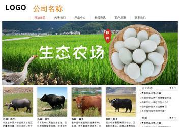 经济型成品案例站No:8535