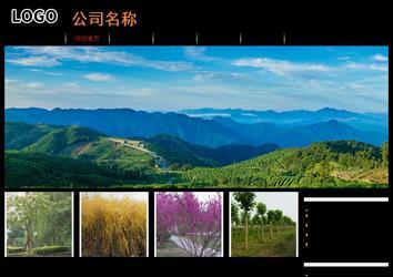 经济型成品案例站No:8535