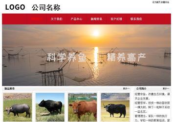 经济型成品案例No:8551