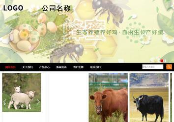 商务型成品案例站No:8552