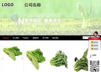 商务型成品案例站No:8552