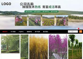 商务型成品案例站No:8552