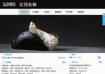 商务型成品案例站No:8553