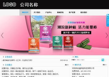 商务型成品案例站No:8553