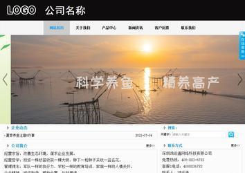 商务型成品案例站No:8553