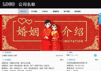 商务型成品案例站No:8553