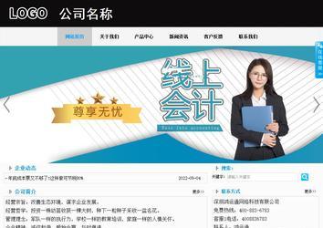 商务型成品案例站No:8553