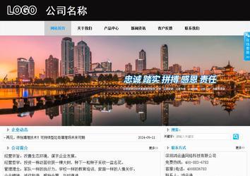 商务型成品案例站No:8553