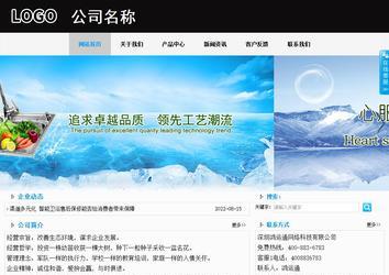 商务型成品案例站No:8553