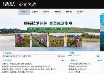 商务型成品案例站No:8553