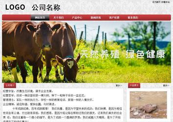 经济型成品案例No:8578