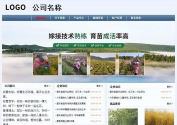 经济型成品案例No:8582