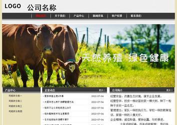 经济型成品案例No:8583