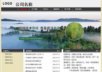 经济型成品案例No:8583