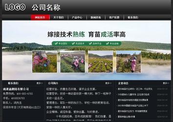 经济型成品案例No:8589