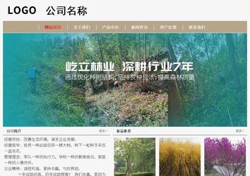 经济型成品案例No:8598