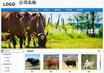 经济型成品案例No:8602