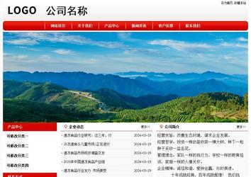 经济型成品案例No:8611