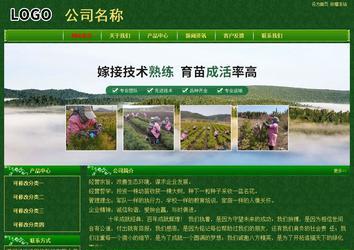 经济型成品案例No:8619