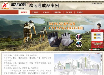 商务型成品案例站No:8621