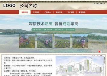 商务型成品案例站No:8621