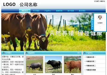 经济型成品案例站No:8623