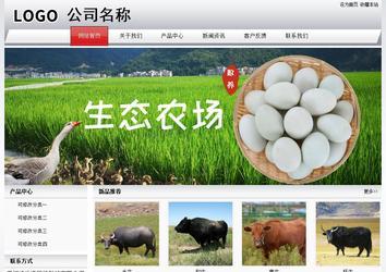 经济型成品案例No:8639