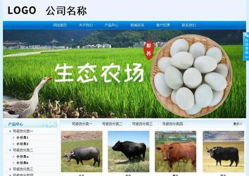 经济型成品案例站No:8651