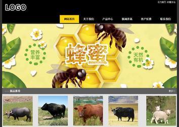 经济型成品案例站No:8653