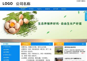 商务型成品案例站No:8655