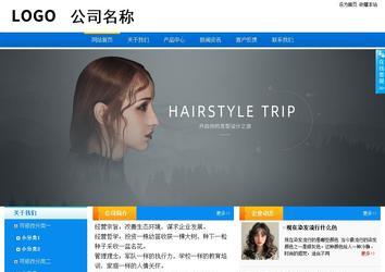 商务型成品案例站No:8655