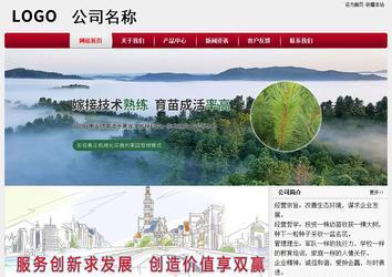 经济型成品案例站No:8667