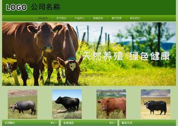 经济型成品案例站No:8675