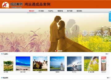 商务型成品案例8682