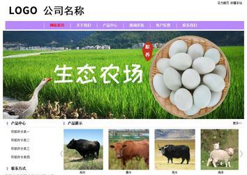 经济型成品案例站No:8703