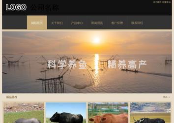 经济型成品案例站No:8781