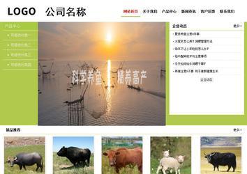 经济型成品案例No:8782